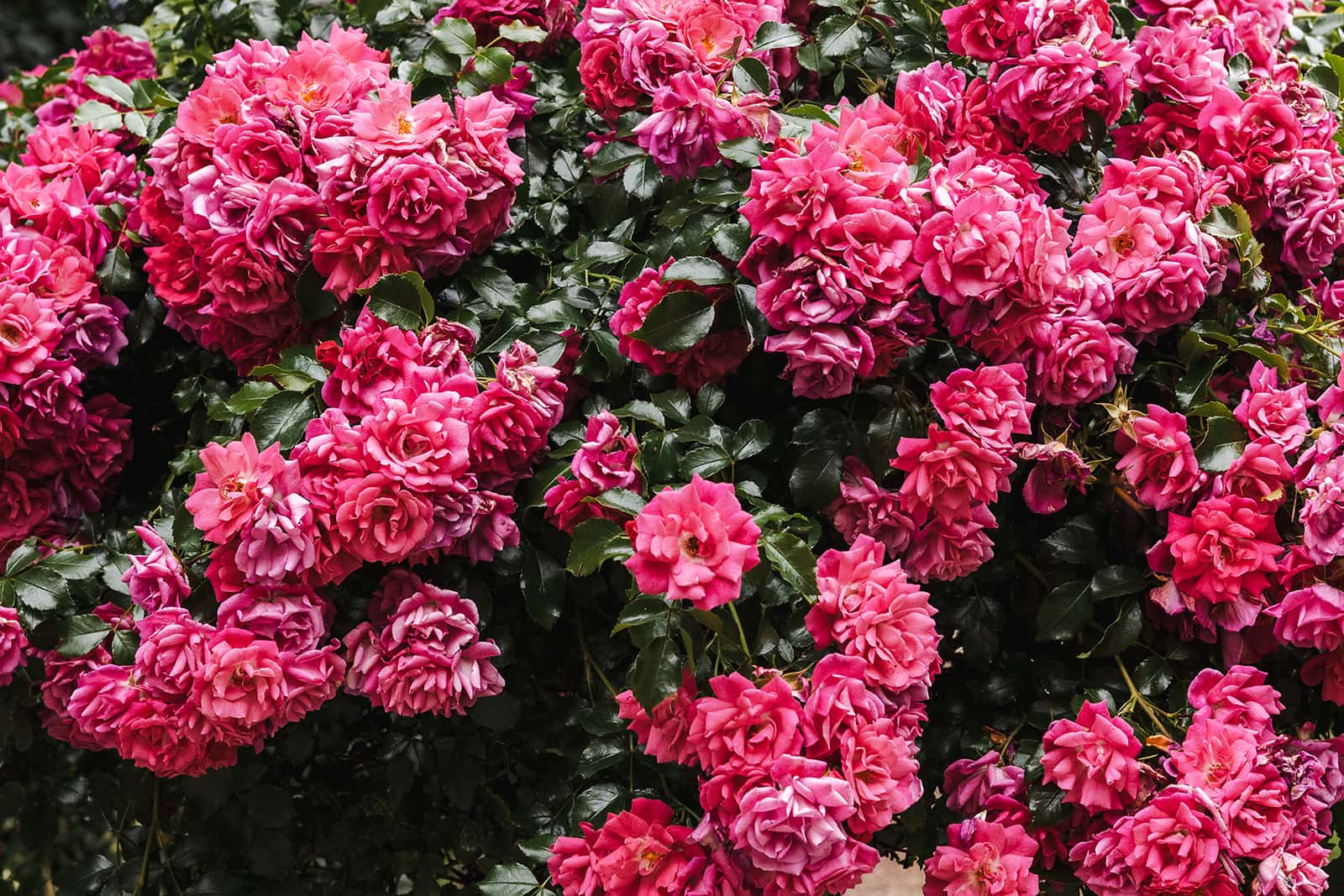 mariages et chambres d'hotes entre nancy et metz